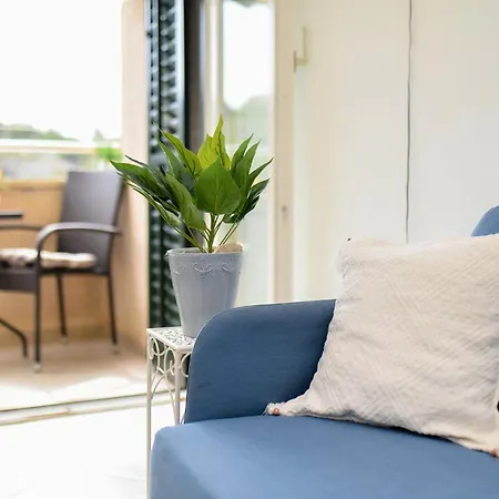 Neighbor By Ivcic * Novigrad (Dalmatia)